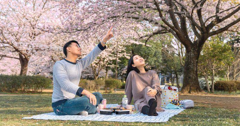25 Ayat Alkitab untuk Renungan Pasangan Suami Istri